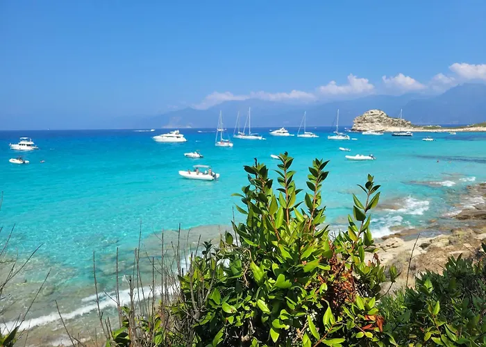 New O Cosy T2 - Bastia