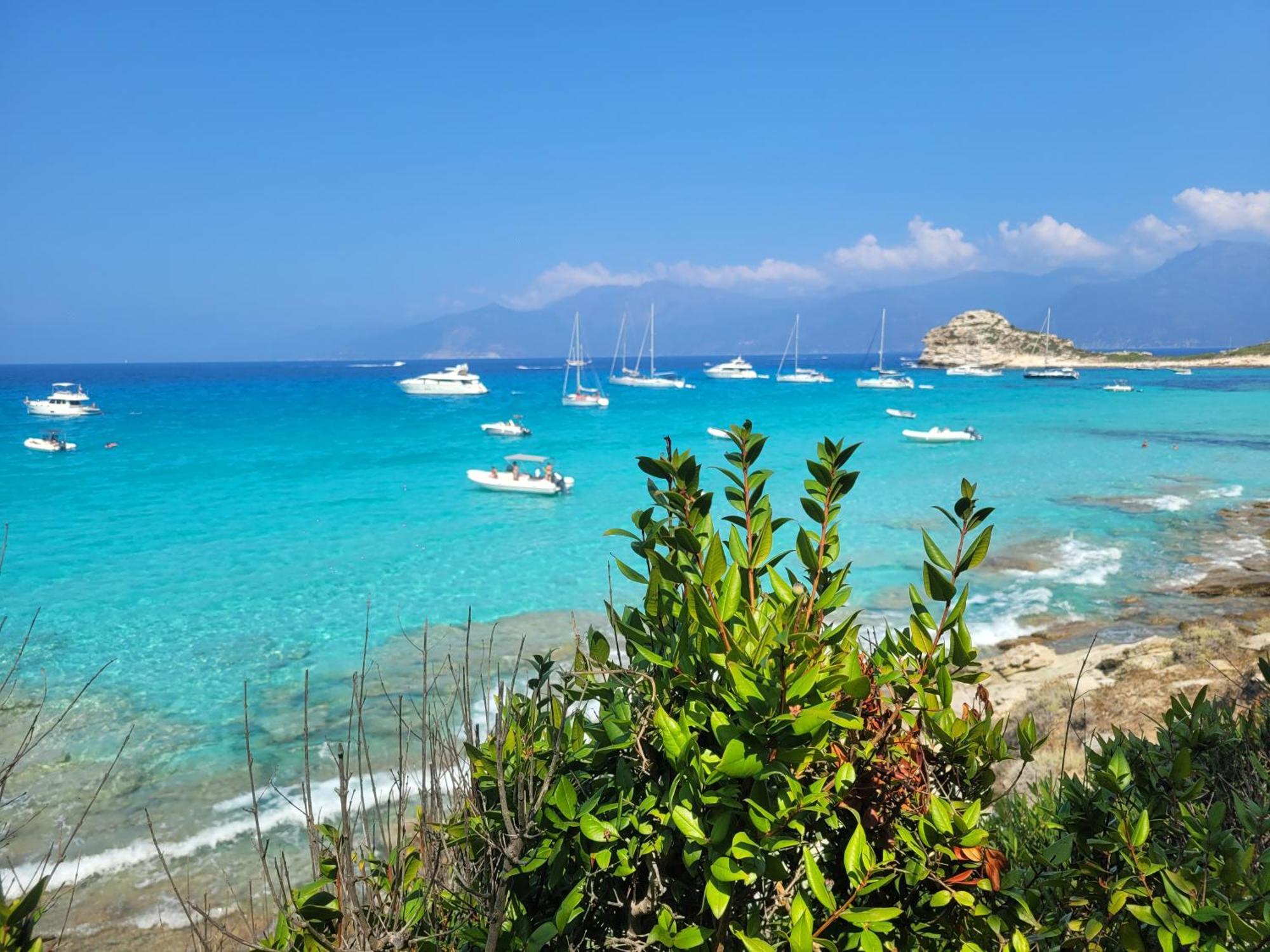 New O Cosy T2 - Bastia Appartement *